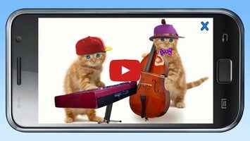 Vidéo au sujet deAwesome Talking Cats1