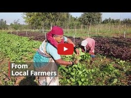 Video về Farmizen - Organic Fruits & Ve1