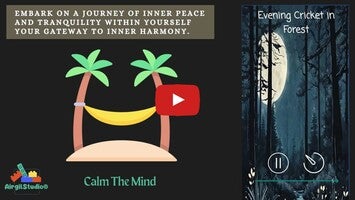 Calm The Mind1動画について