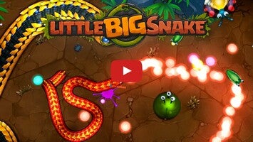 วิดีโอการเล่นเกมของ Little Big Snake 1