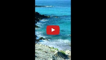 Video tentang Beach 1