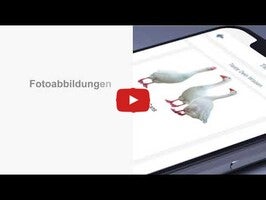 Video tentang Französisch Lernen 1