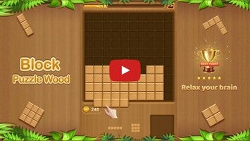 Gameplay video of Block Puzzle Wood – Easymood 1
