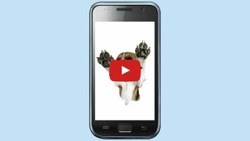 Vidéo au sujet deLicking Pets1