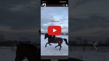 วิดีโอเกี่ยวกับ Horse Wallpapers 1