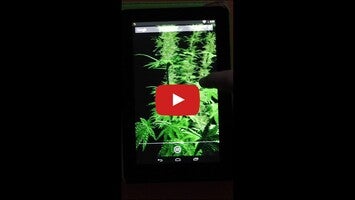 วิดีโอเกี่ยวกับ Weed 3D Live Wallaper 1