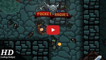 Video gameplay Pocket Rogues 1