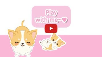 Video about Hellopet 1