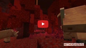 Video über Nether Update Addon for MCPE 1