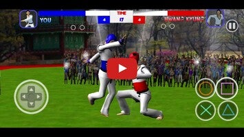 Video del gameplay di Taekwondo Fighting 1
