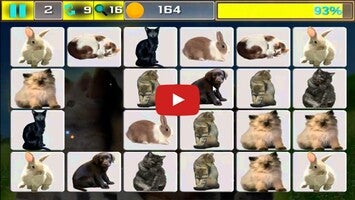Gameplay video of Onet Pet Animals 1