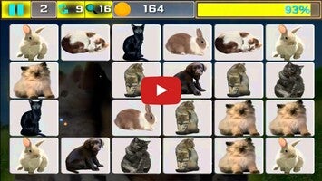 Vídeo-gameplay de Onet Pet Animals 1