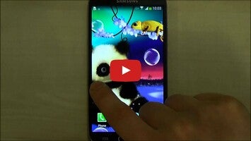 Video su Animated Panda Live Wallpaper 1