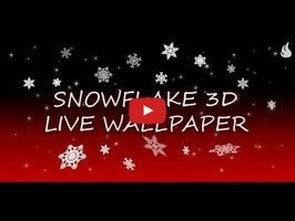 Video about Snowflake 3D 1