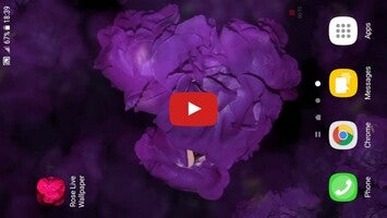 Vídeo sobre Rose Live Wallpaper 1