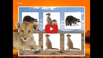 Video about WildLife Memo 1