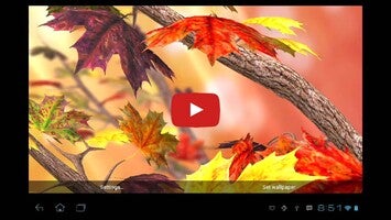 Vídeo sobre Autumn Tree Free 1