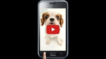 Video über Sniffing Pets Free 1