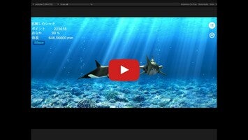 Video del gameplay di Orca and marine mammals 1