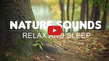 Video about Nature Sounds 1