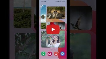 Video về Photo Widget Easy1