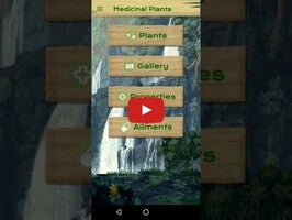 Medicinal Plants1動画について