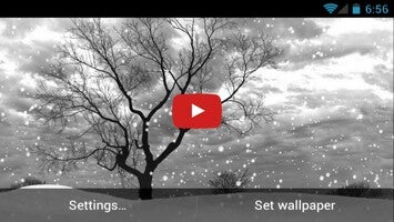 关于孤独的树（演示版）1的视频