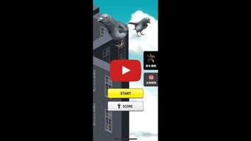 Video del gameplay di ハトジャンプ 1