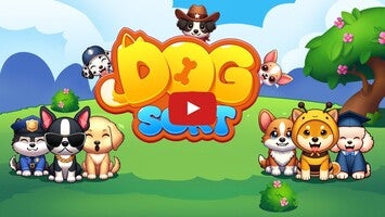 Видео игры Dog Sort 1