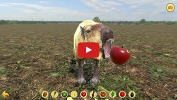 Vídeo de gameplay de Capybara Zoo 1