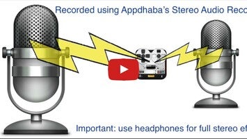 Vídeo sobre Stereo Audio Microphone 1