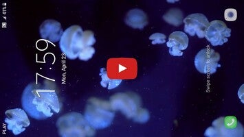 Video tentang Aquarium 3D Live Wallpaper 1