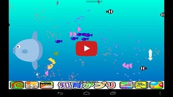 วิดีโอเกี่ยวกับ Touch and Find! Sea Creatures for Kids 1