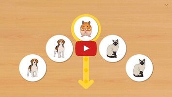 Vídeo de gameplay de Animal Card Matching 1