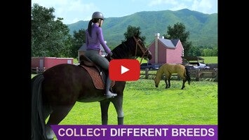Gameplayvideo von FEI Equestriad World Tour 1
