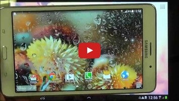 Video about Autumn Flowers Live Wallpaper 1