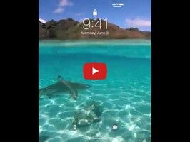 Vídeo sobre Wallpapers 4K 1