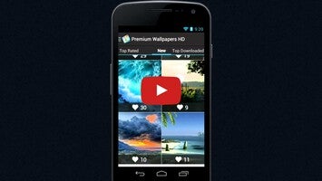 Video über Premium Wallpapers HD 1