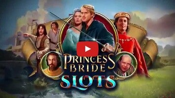 Видео игры Princess Bride 1