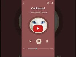 Video about Cat Sounds‏ 1
