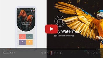 Видео про eZy Watermark Photos Lite 1