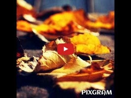 Pixgram1動画について