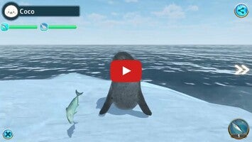 วิดีโอการเล่นเกมของ Seal Island 1