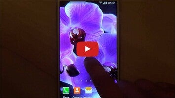 Video about Orchids Live Wallpaper 1