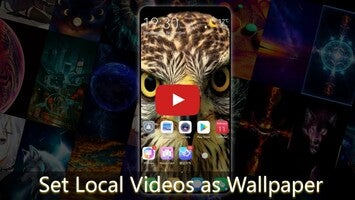 Video Live Wallpaper - Set your video as wallpaper 1와 관련된 동영상