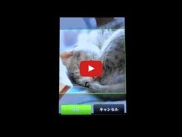 Video über Petcamera 1
