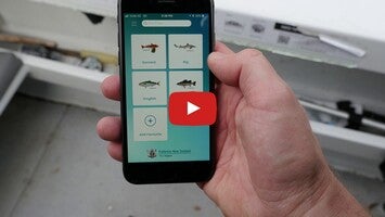 Video über NZ Fishing Rules 1