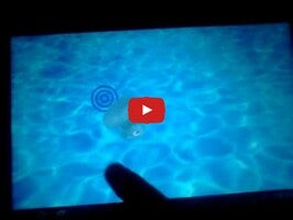 Video del gameplay di Play in the pool FREE 1