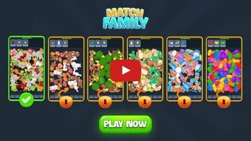 طريقة لعب الفيديو الخاصة ب Match Family1