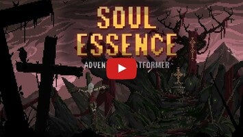 Video gameplay Soul Essence 1